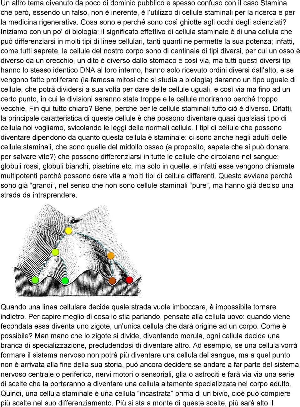 Iniziamo con un po di biologia: il significato effettivo di cellula staminale è di una cellula che può differenziarsi in molti tipi di linee cellulari, tanti quanti ne permette la sua potenza;