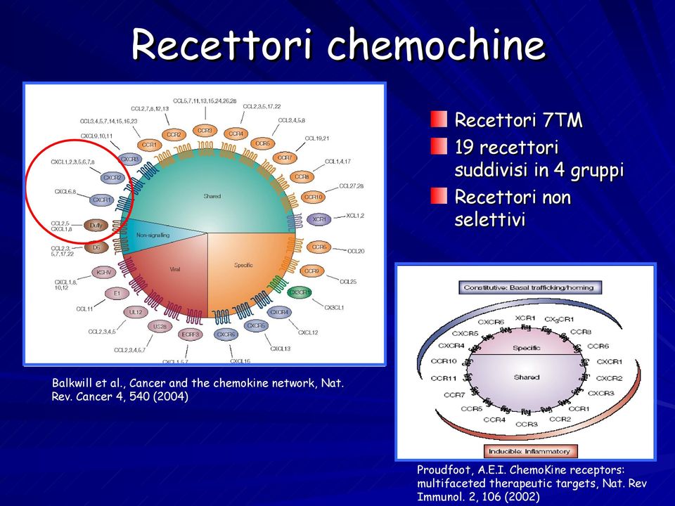 , Cancer and the chemokine network, Nat. Rev.
