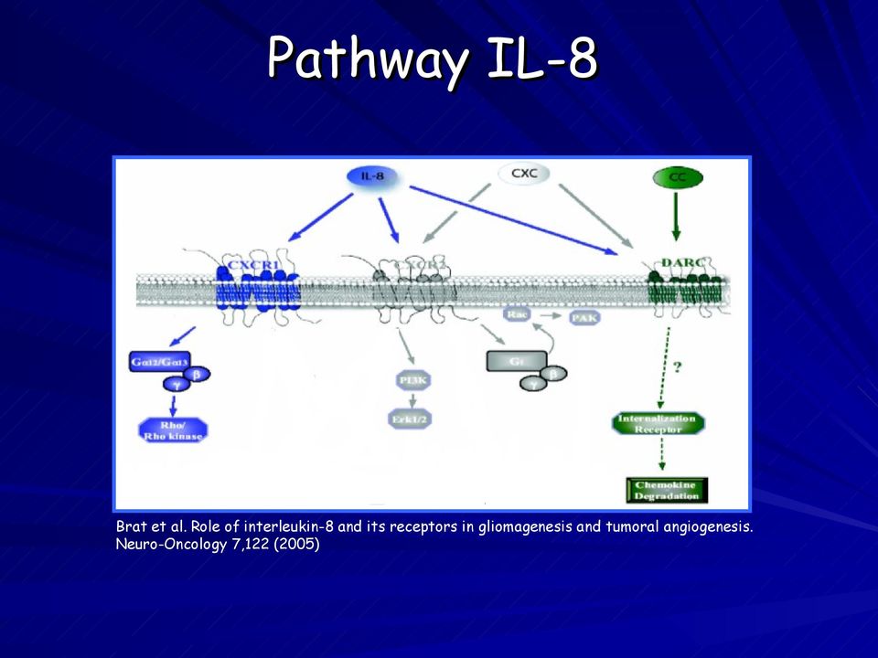 receptors in gliomagenesis and