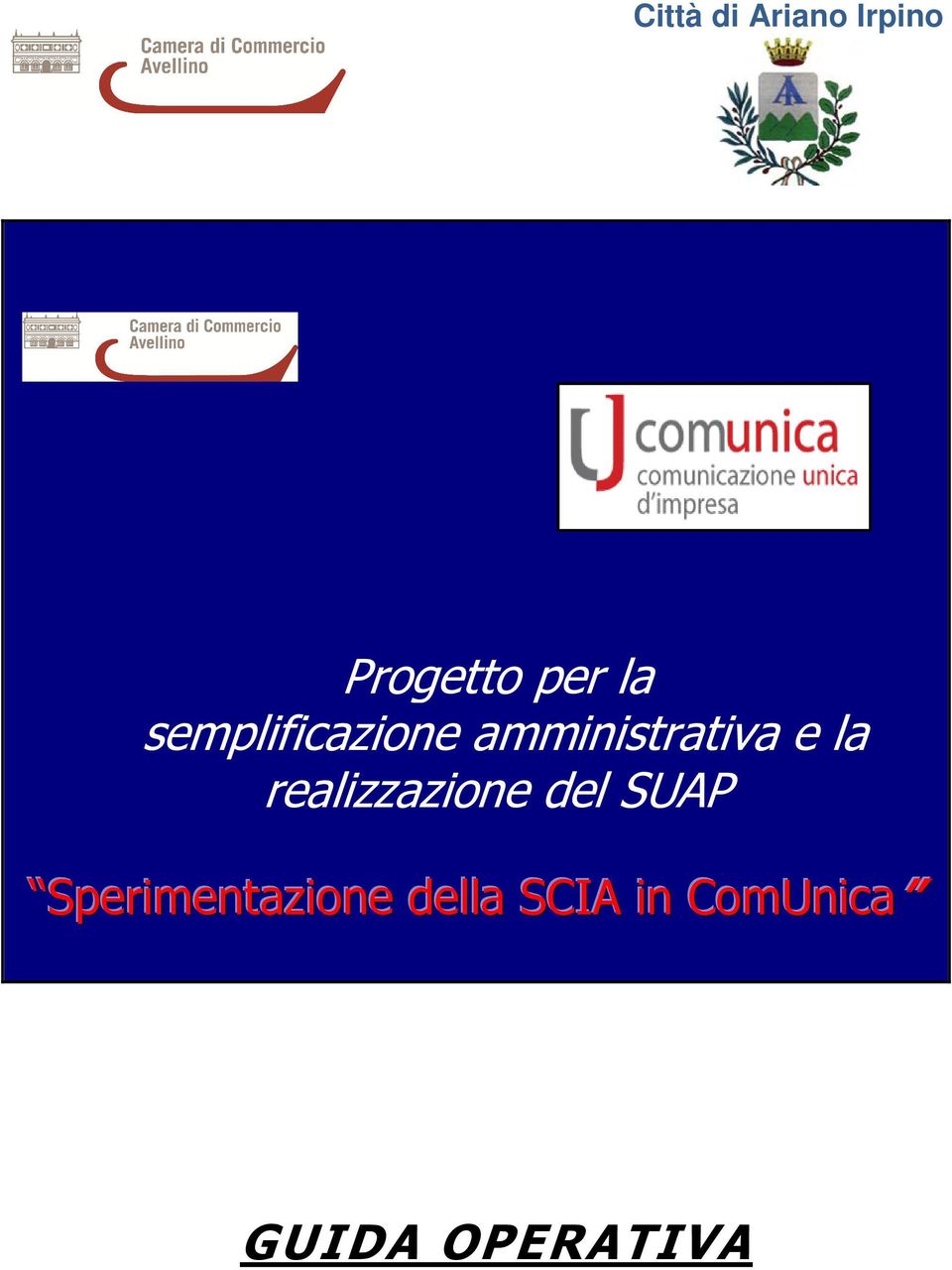 realizzazione del SUAP