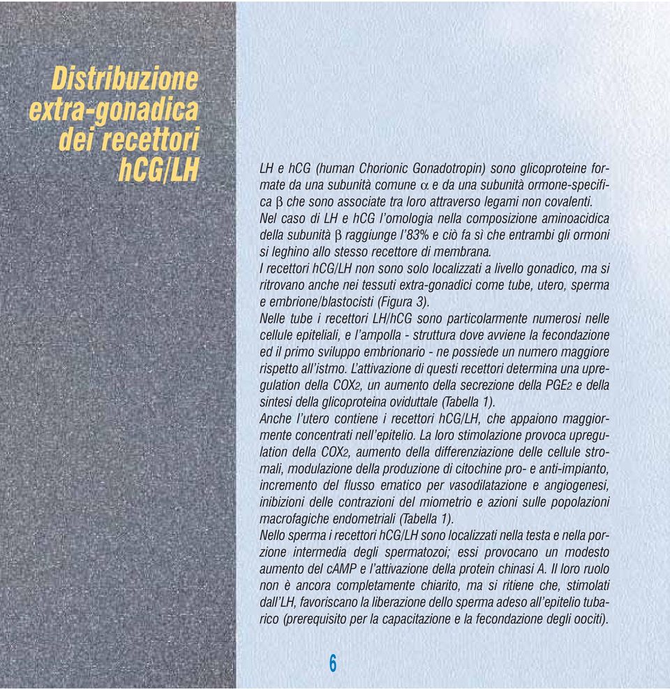 Nel caso di LH e hcg l omologia nella composizione aminoacidica della subunità β raggiunge l 83% e ciò fa sì che entrambi gli ormoni si leghino allo stesso recettore di membrana.