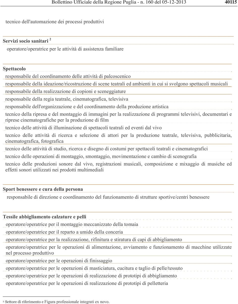 responsabile della regia teatrale, cinematografica, televisiva responsabile dell'organizzazione e del coordinamento della produzione artistica tecnico della ripresa e del montaggio di immagini per la