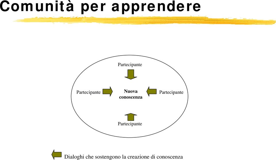 conoscenza Partecipante