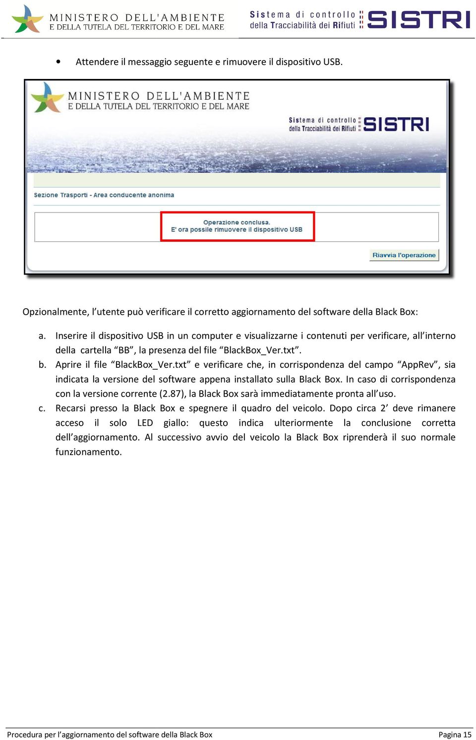 txt e verificare che, in corrispondenza del campo AppRev, sia indicata la versione del software appena installato sulla Black Box. In caso di corrispondenza con la versione corrente (2.