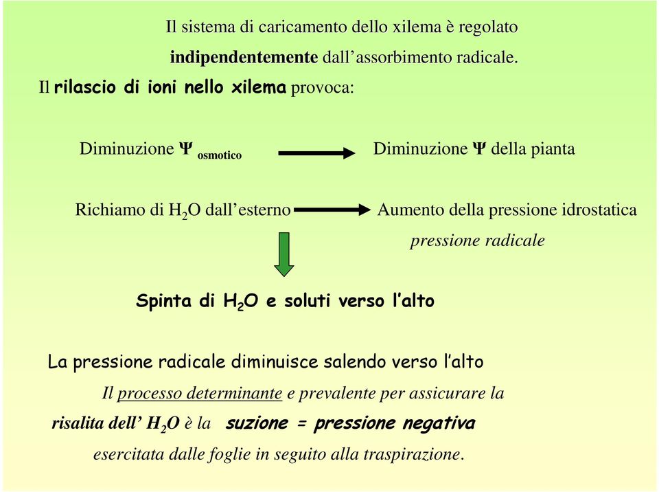 della pressione idrostatica pressione radicale Spinta di H 2 O e soluti verso l alto La pressione radicale diminuisce salendo verso l