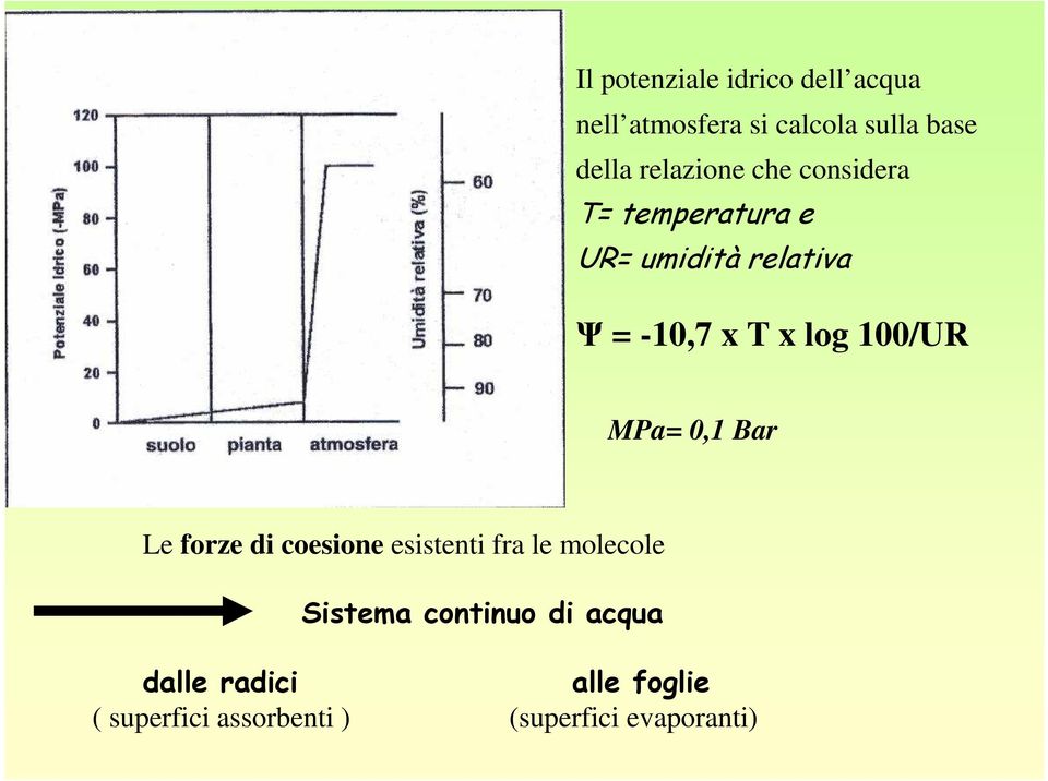 log 100/UR MPa= 0,1 Bar Le forze di coesione esistenti fra le molecole Sistema