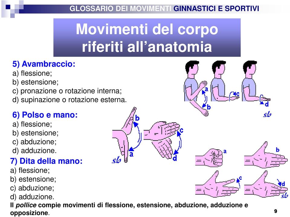 Movimenti del corpo riferiti all anatomia 6) Polso e mano: a) flessione; b) estensione; c)