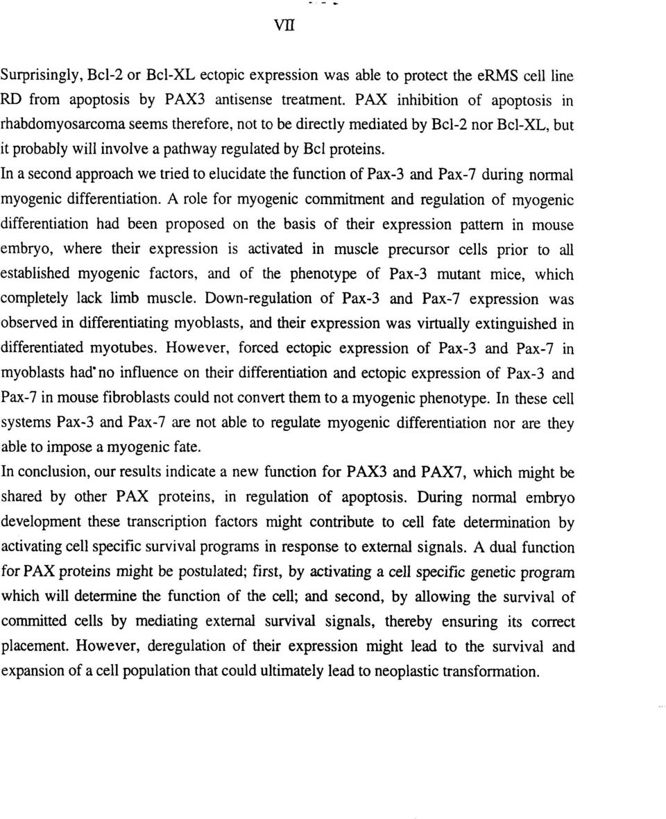 In a second approach we tried to elucidate the function of Pax-3 and Pax-7 during normal myogenic differentiation.