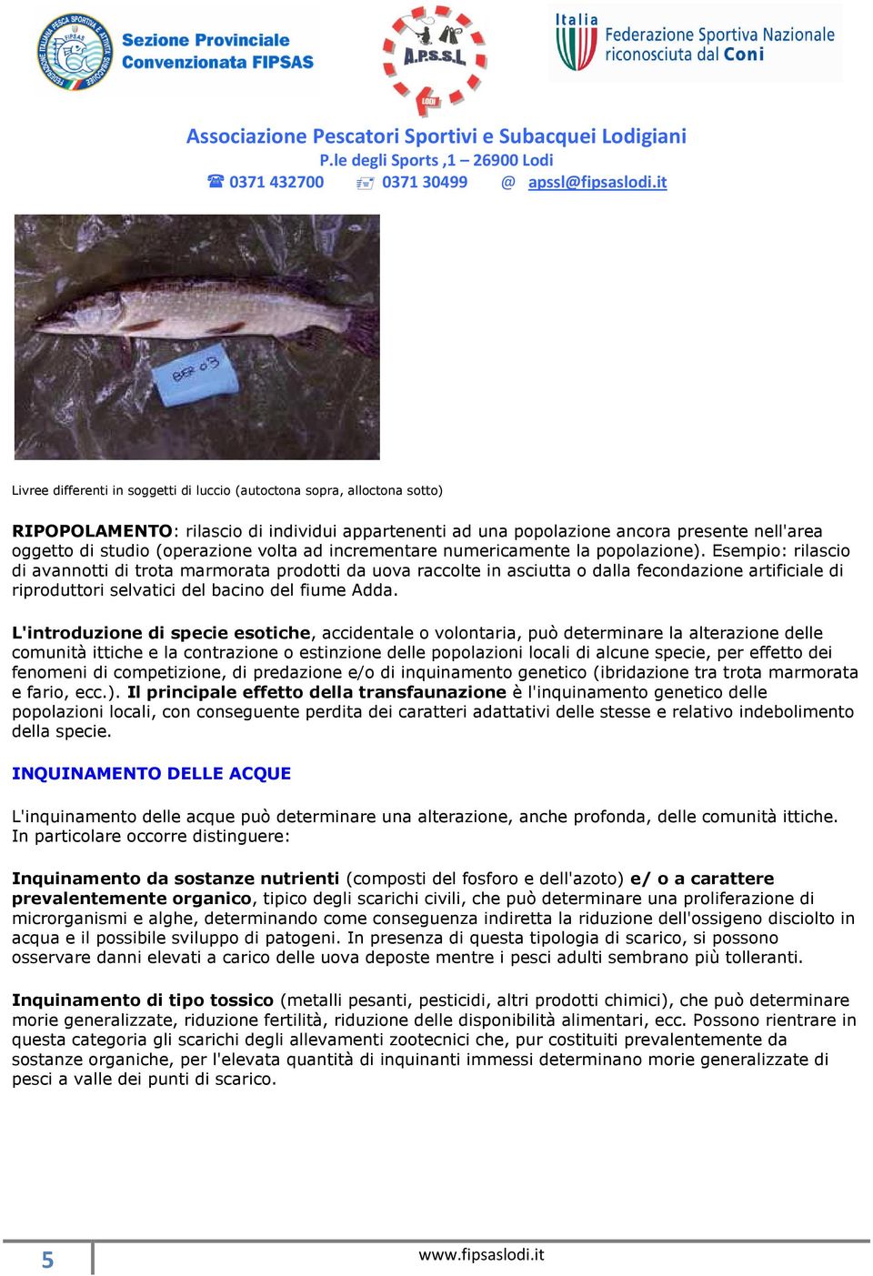 Esempio: rilascio di avannotti di trota marmorata prodotti da uova raccolte in asciutta o dalla fecondazione artificiale di riproduttori selvatici del bacino del fiume Adda.