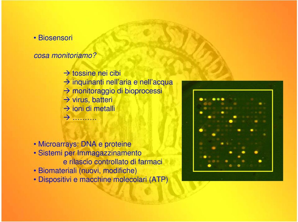 bioprocessi virus, batteri ioni di metalli.
