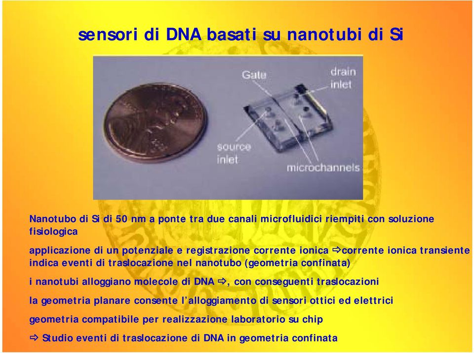 (geometria confinata) i nanotubi alloggiano molecole di DNA, con conseguenti traslocazioni la geometria planare consente l alloggiamento di