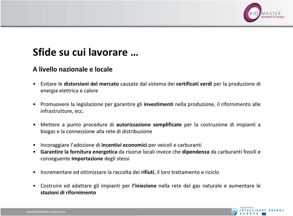 Mettere a punto procedure di autorizzazione semplificate per la costruzione di impianti a biogas e la connessione alla rete di distribuzione Incoraggiare I adozione di incentivi economici per veicoli