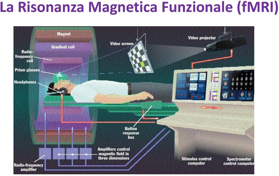 Magnetica