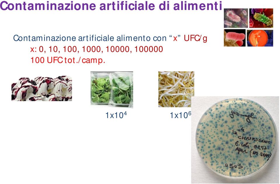 alimento con x UFC/g x: 0, 10, 100,