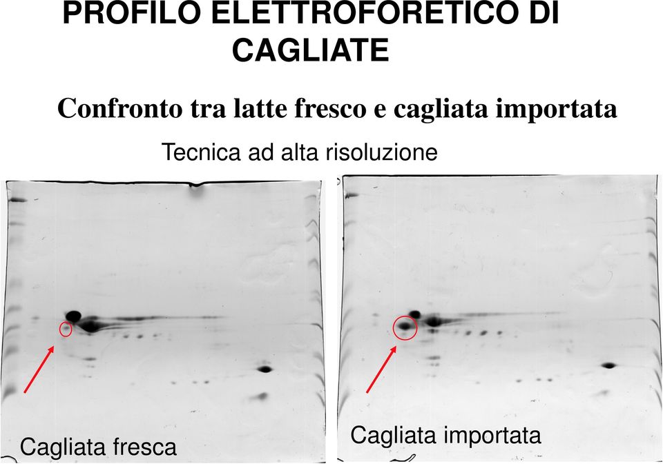 cagliata importata t Tecnica ad alta