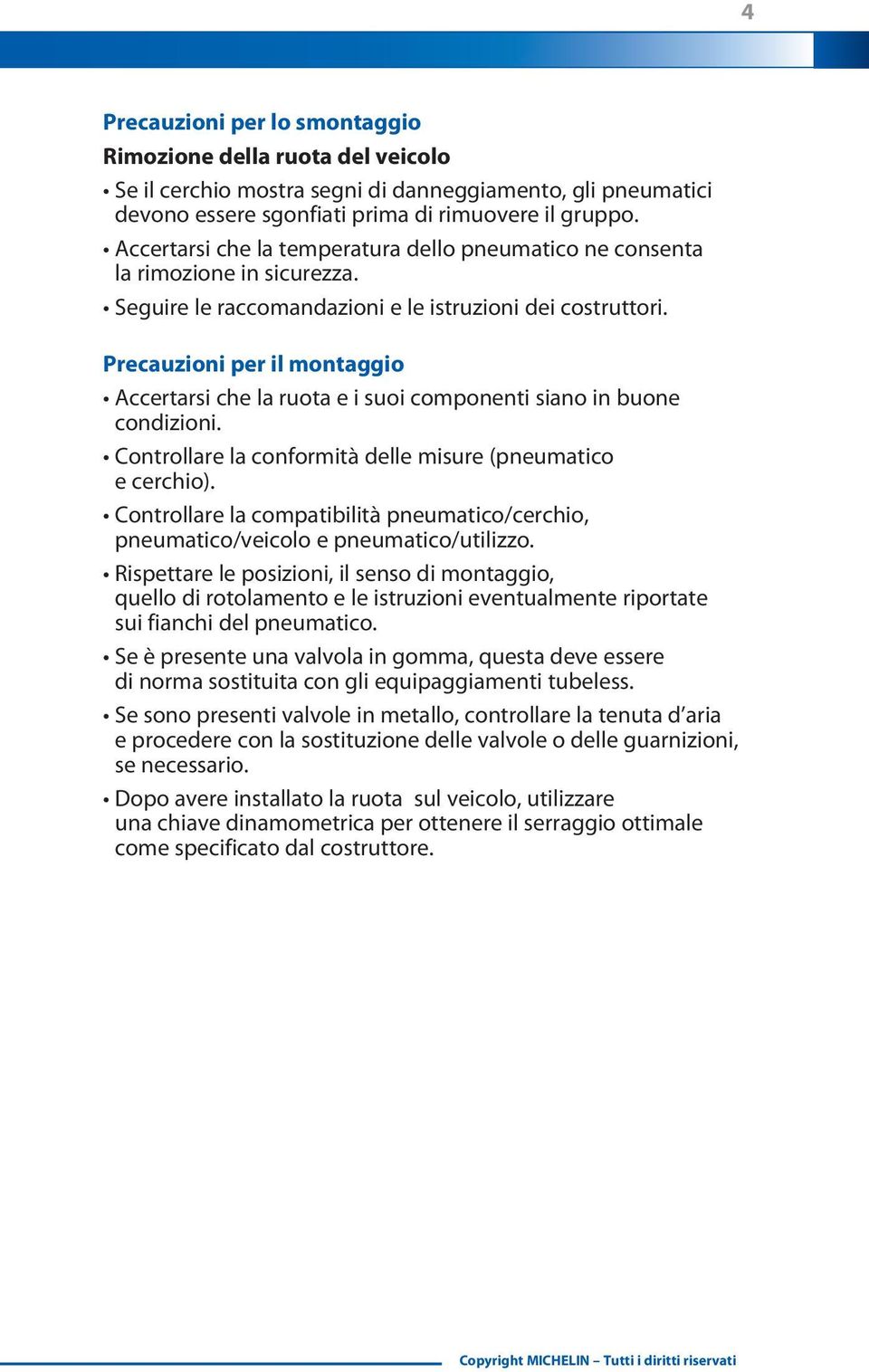 Precauzioni per il montaggio Accertarsi che la ruota e i suoi componenti siano in buone condizioni. Controllare la conformità delle misure (pneumatico e cerchio).