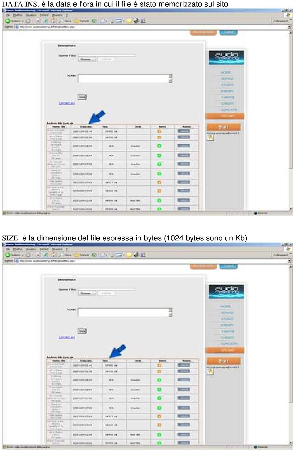 stato memorizzato sul sito SIZE è