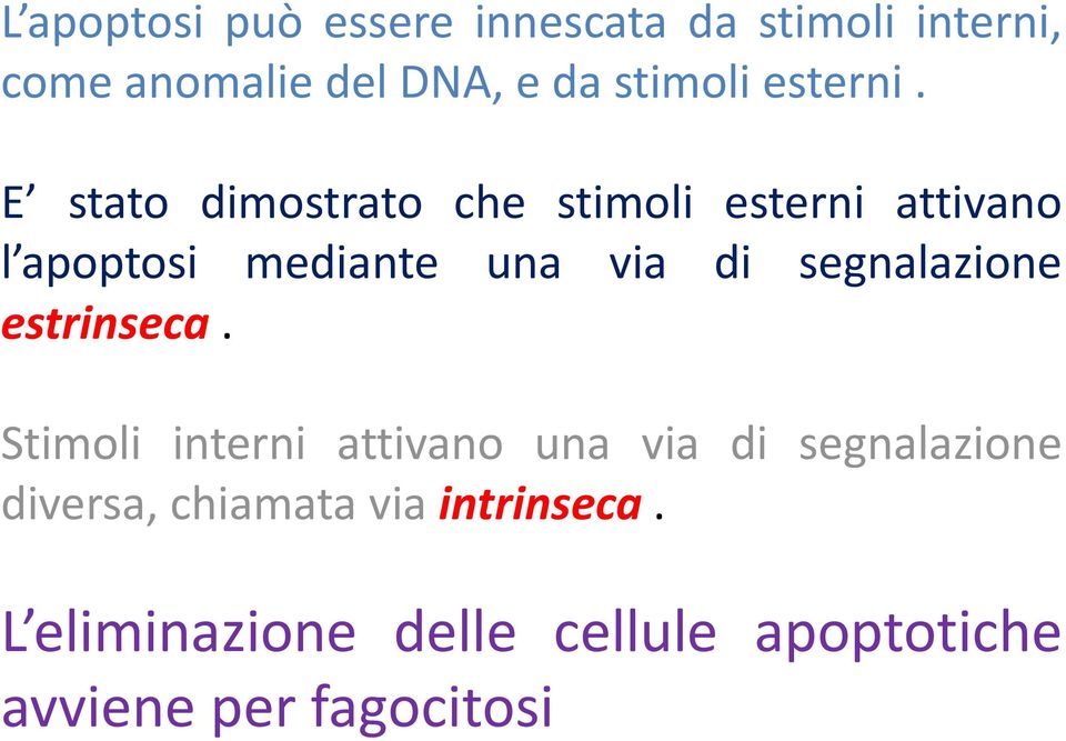 E stato dimostrato che stimoli esterni attivano l apoptosi mediante una via di