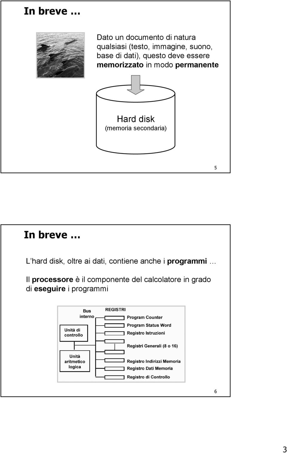 secondaria) 5 In breve L hard disk, oltre ai dati, contiene anche i programmi