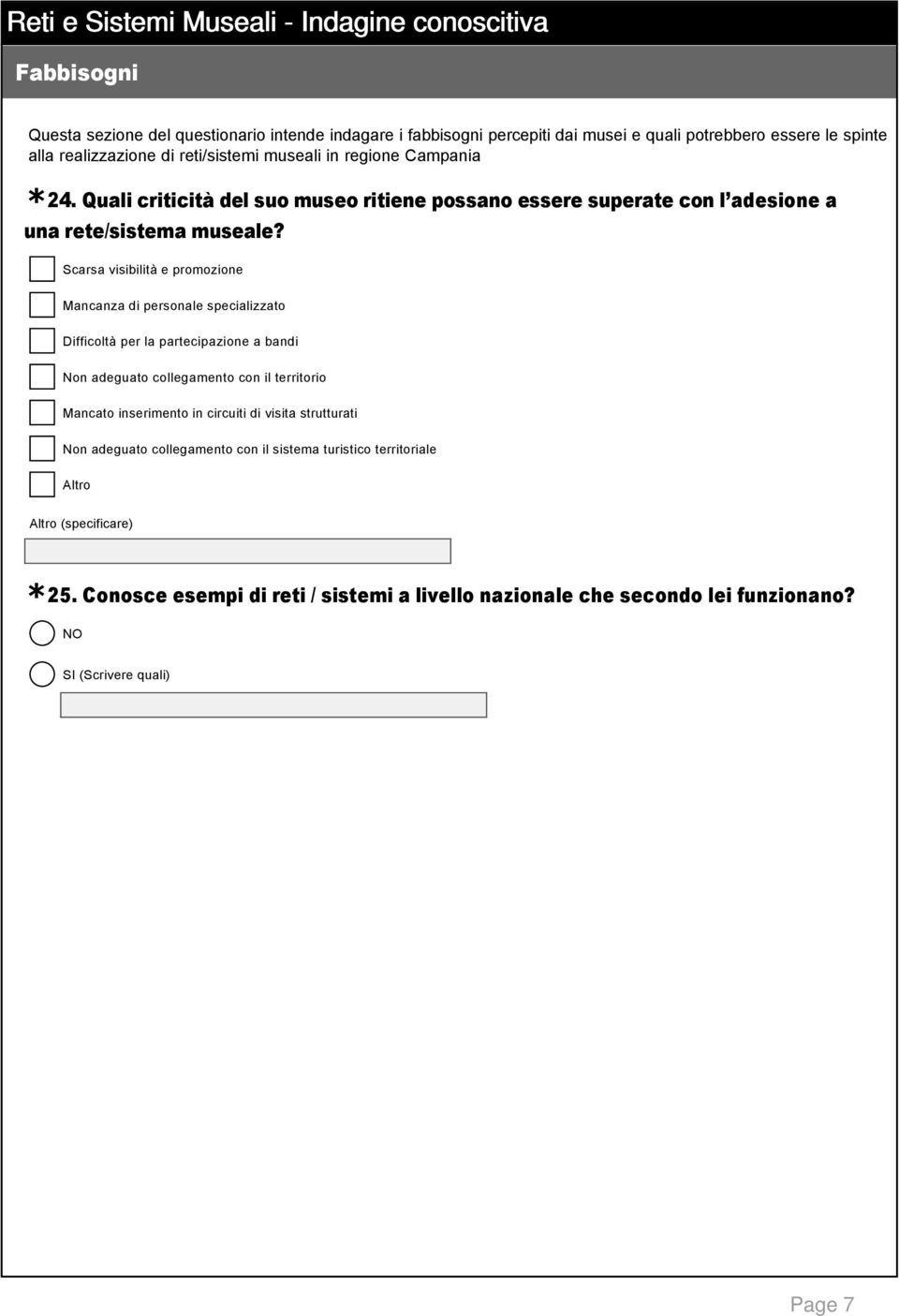 Scarsa visibilità e promozione Mancanza di personale specializzato Difficoltà per la partecipazione a bandi Non adeguato collegamento con il territorio Mancato inserimento