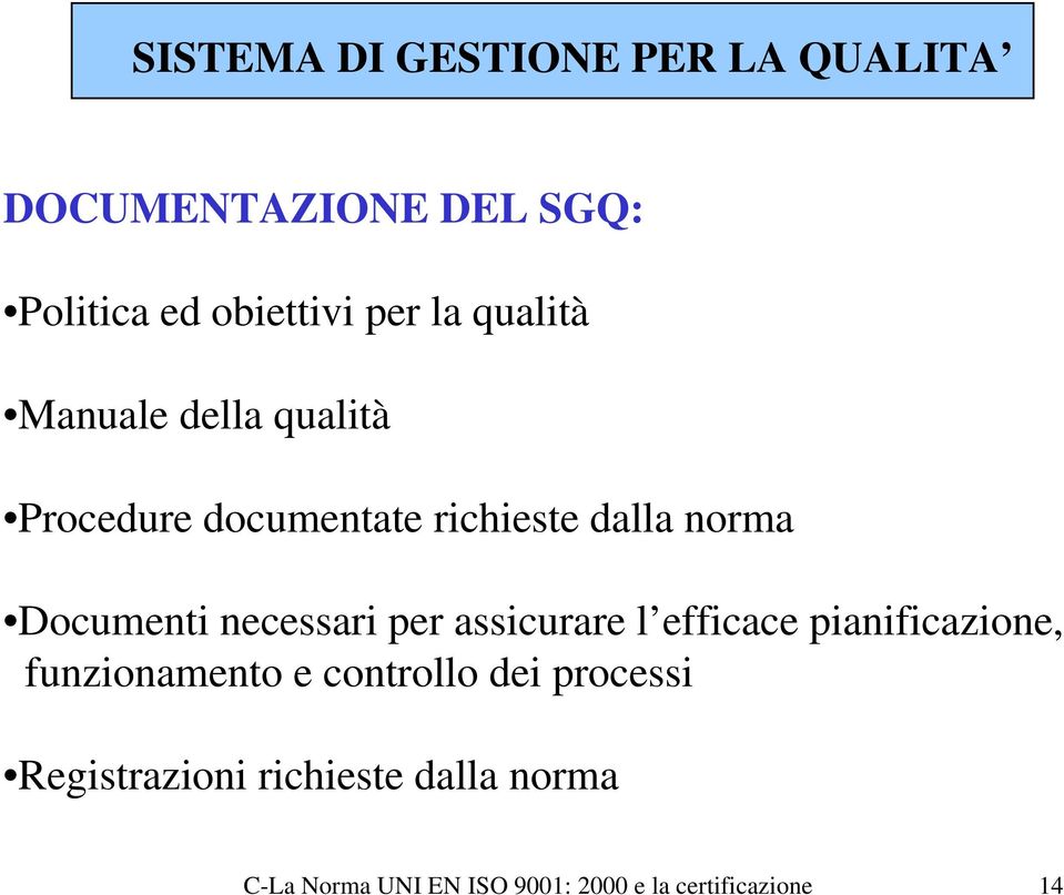 necessari per assicurare l efficace pianificazione, funzionamento e controllo dei