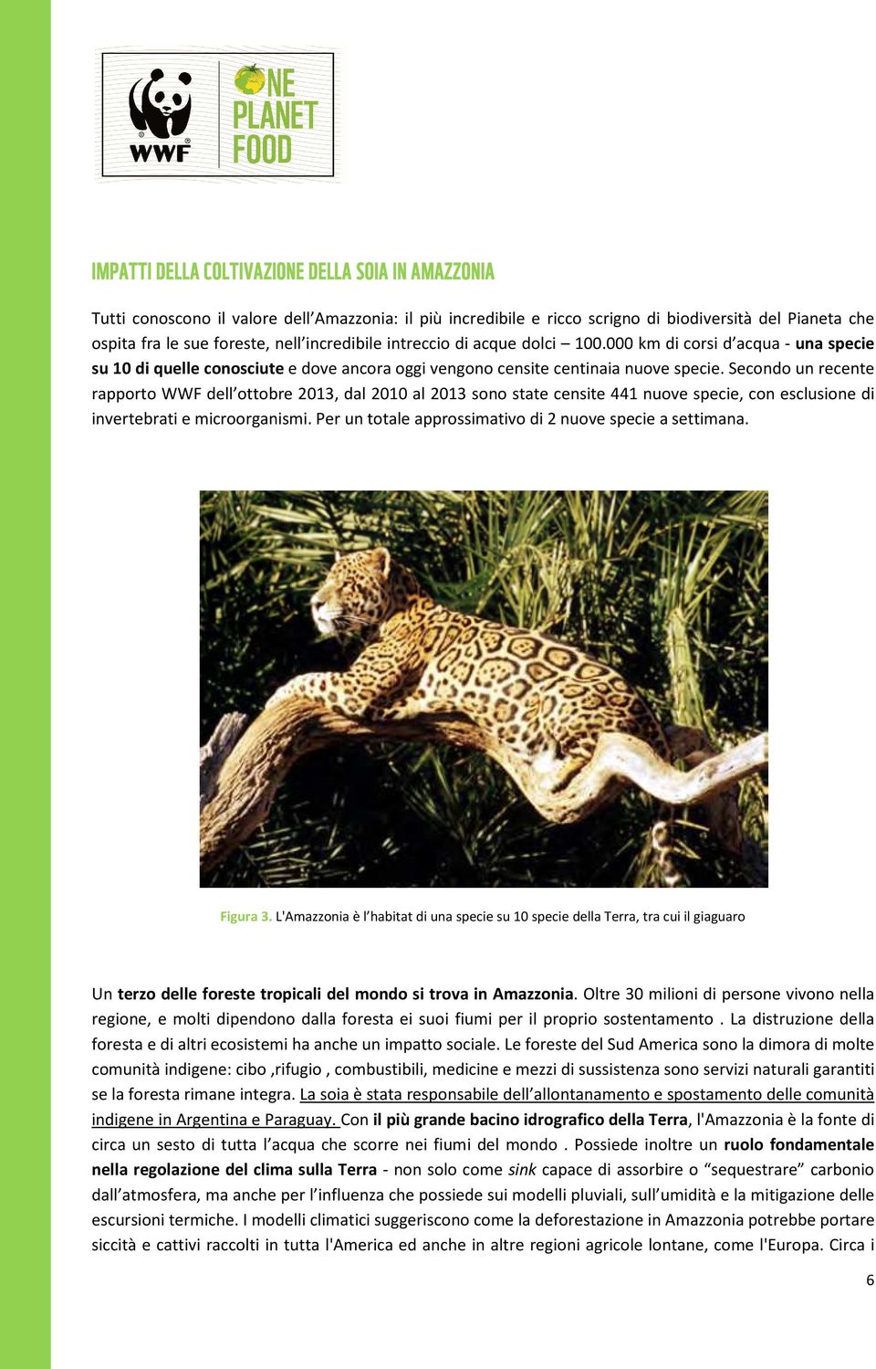 Secondo un recente rapporto WWF dell ottobre 2013, dal 2010 al 2013 sono state censite 441 nuove specie, con esclusione di invertebrati e microorganismi.