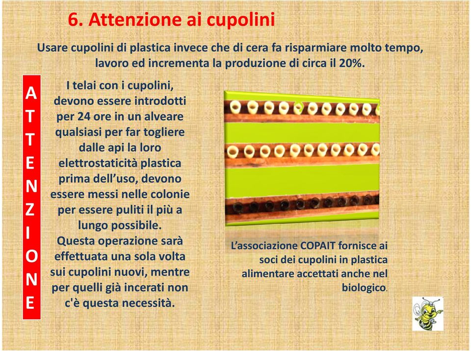 I telai con i cupolini, devono essere introdotti per 24 ore in un alveare qualsiasi per far togliere dalle api la loro elettrostaticitàplastica prima dell uso,