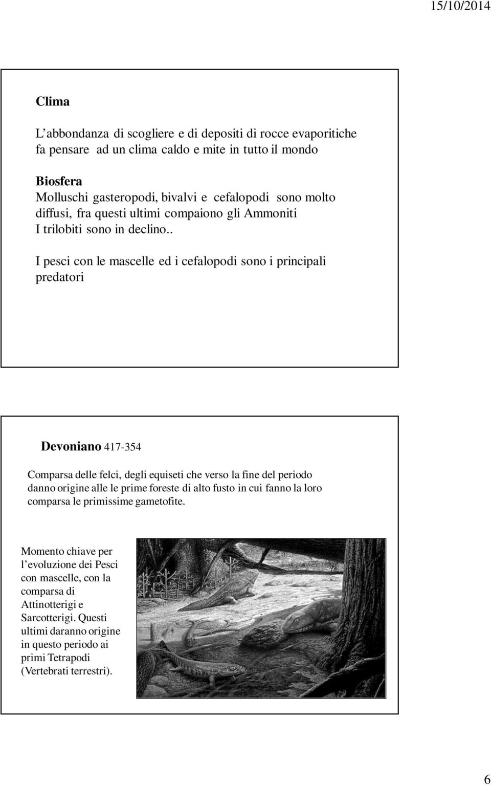 . I pesci con le mascelle ed i cefalopodi sono i principali predatori Devoniano 417-354 Comparsa delle felci, degli equiseti che verso la fine del periodo danno origine alle le