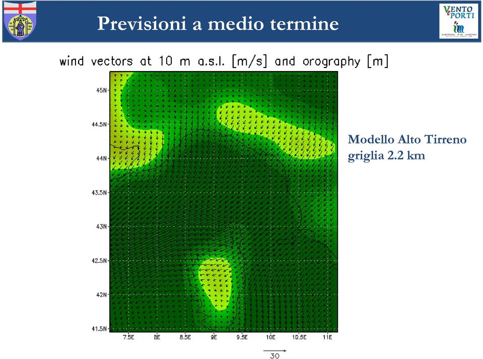 Modello Alto