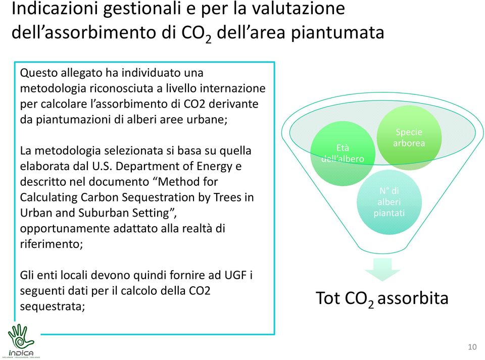 Department of Energy e descritto nel documento Method for Calculating Carbon Sequestration by Trees in Urban and Suburban Setting, opportunamente adattato alla realtà di
