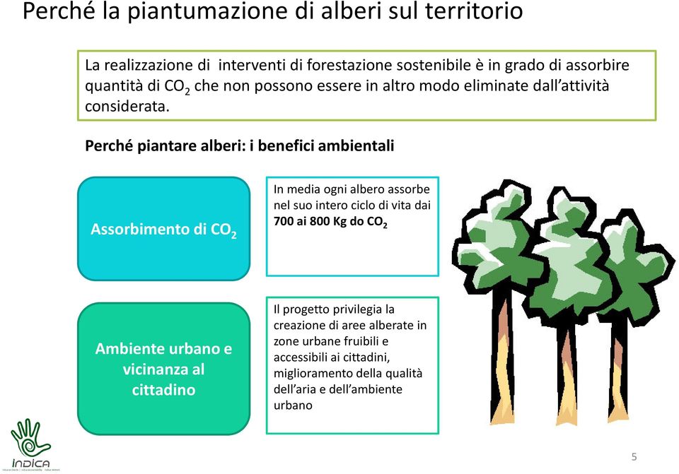 Perché piantare alberi: i benefici ambientali Assorbimento di CO 2 In media ogni albero assorbe nel suo intero ciclo di vita dai 700 ai 800 Kg do