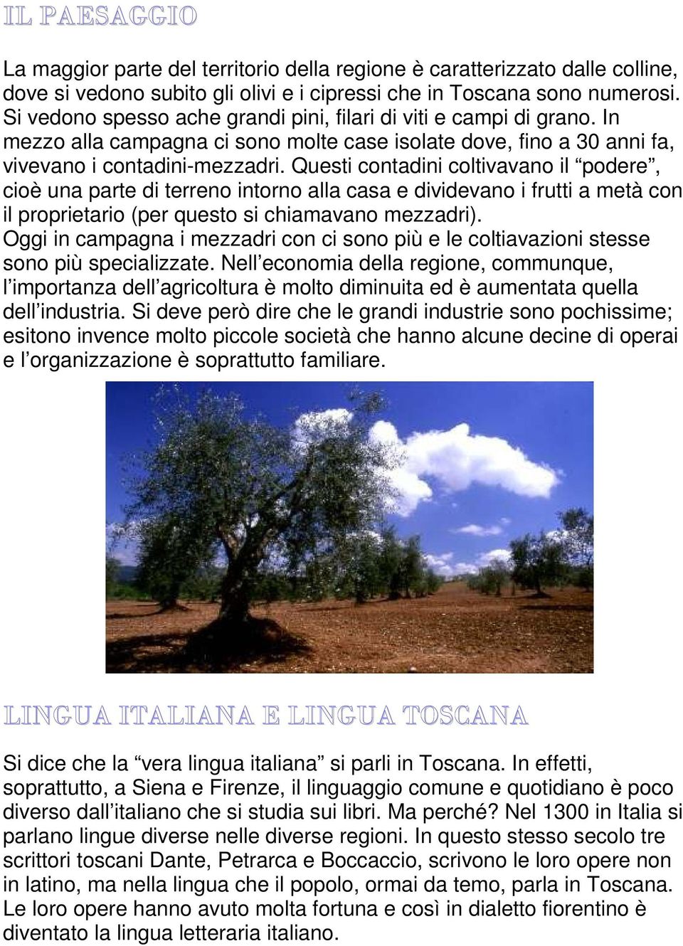 Questi contadini coltivavano il podere, cioè una parte di terreno intorno alla casa e dividevano i frutti a metà con il proprietario (per questo si chiamavano mezzadri).