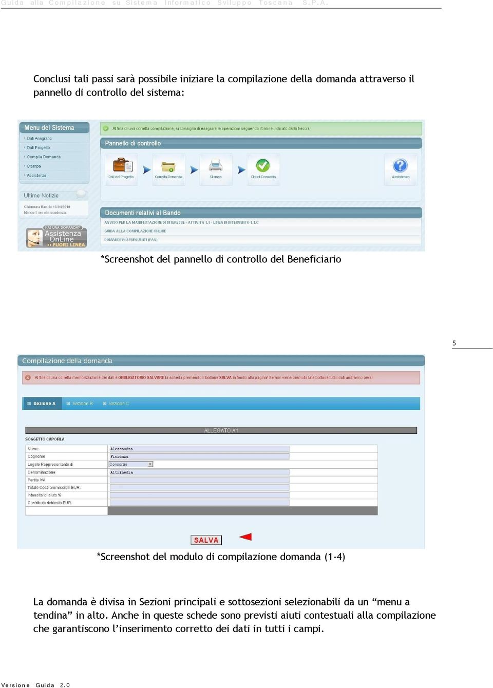 La domanda è divisa in Sezioni principali e sottosezioni selezionabili da un menu a tendina in alto.