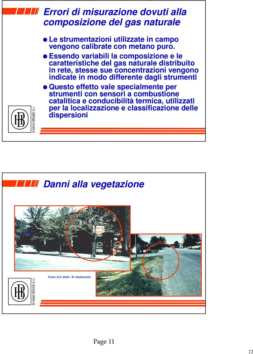 modo differente dagli strumenti Questo effetto vale specialmente per strumenti con sensori a combustione catalitica e conducibilità