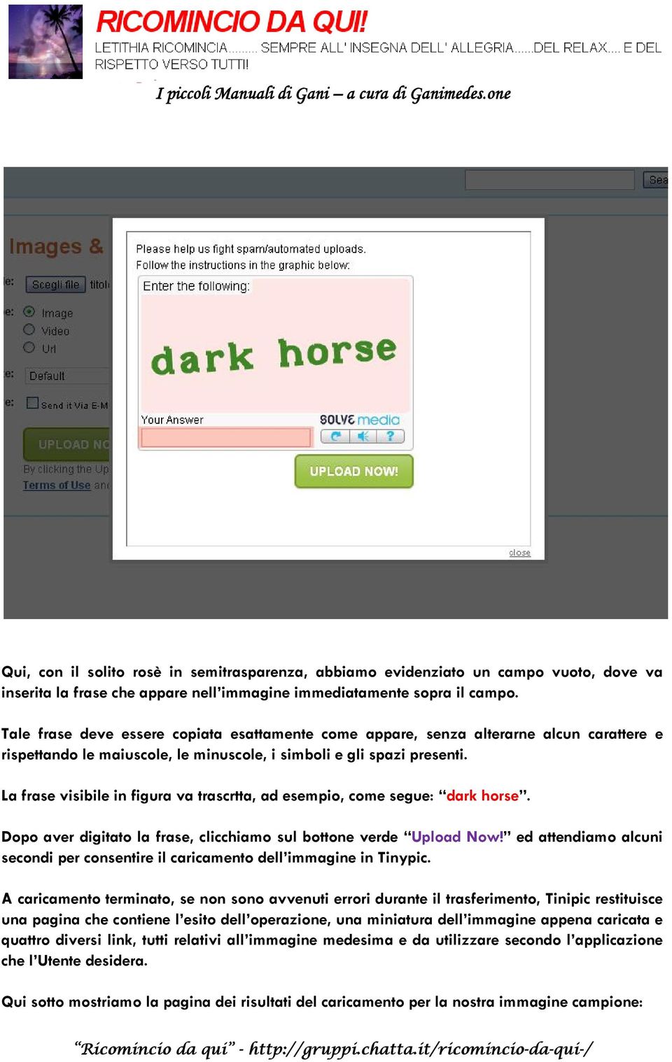 La frase visibile in figura va trascrtta, ad esempio, come segue: dark horse. Dopo aver digitato la frase, clicchiamo sul bottone verde Upload Now!