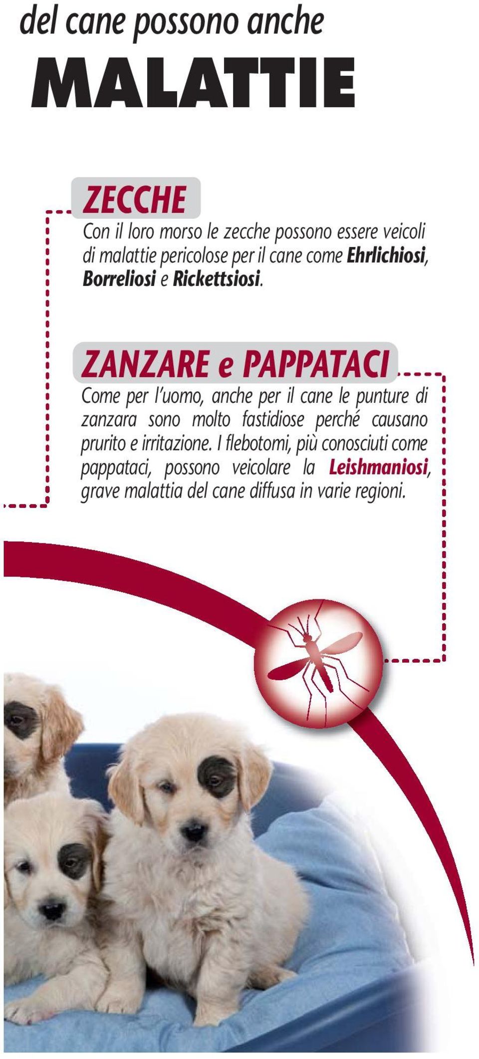 ZANZARE e PAPPATACI Come per l uomo, anche per il cane le punture di zanzara sono molto fastidiose perché