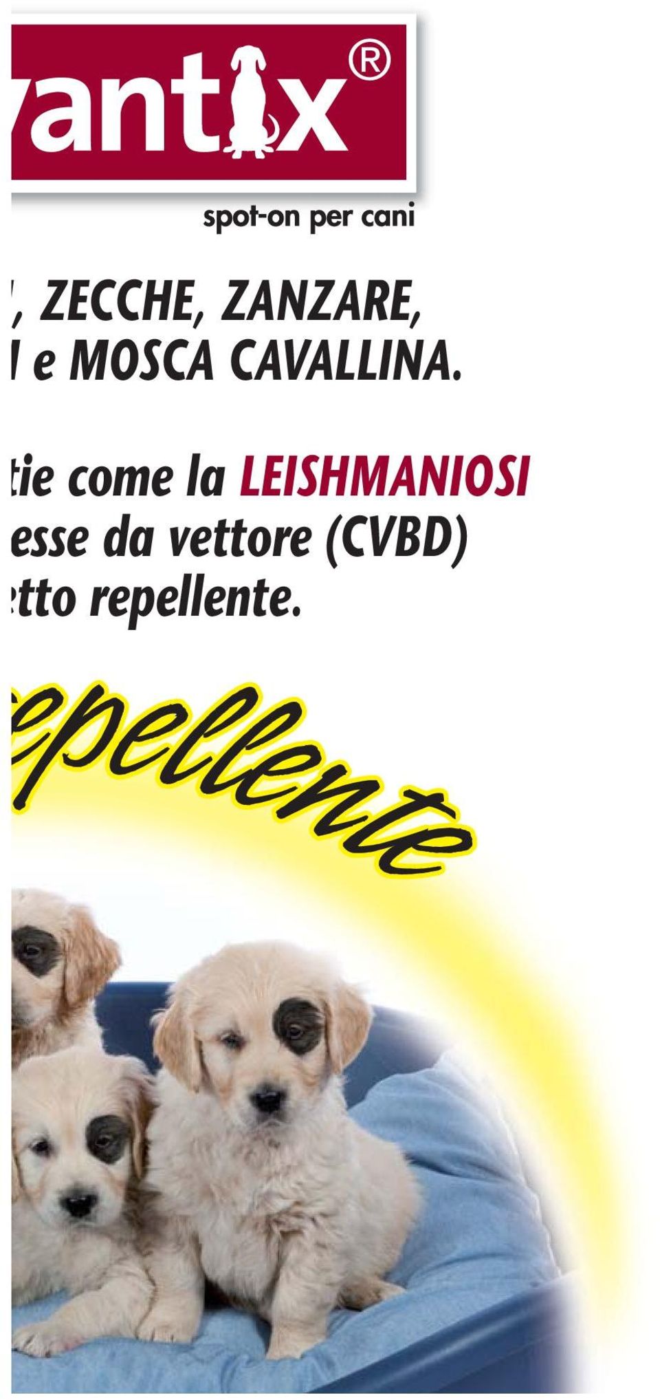 ie come la LEISHMANIOSI