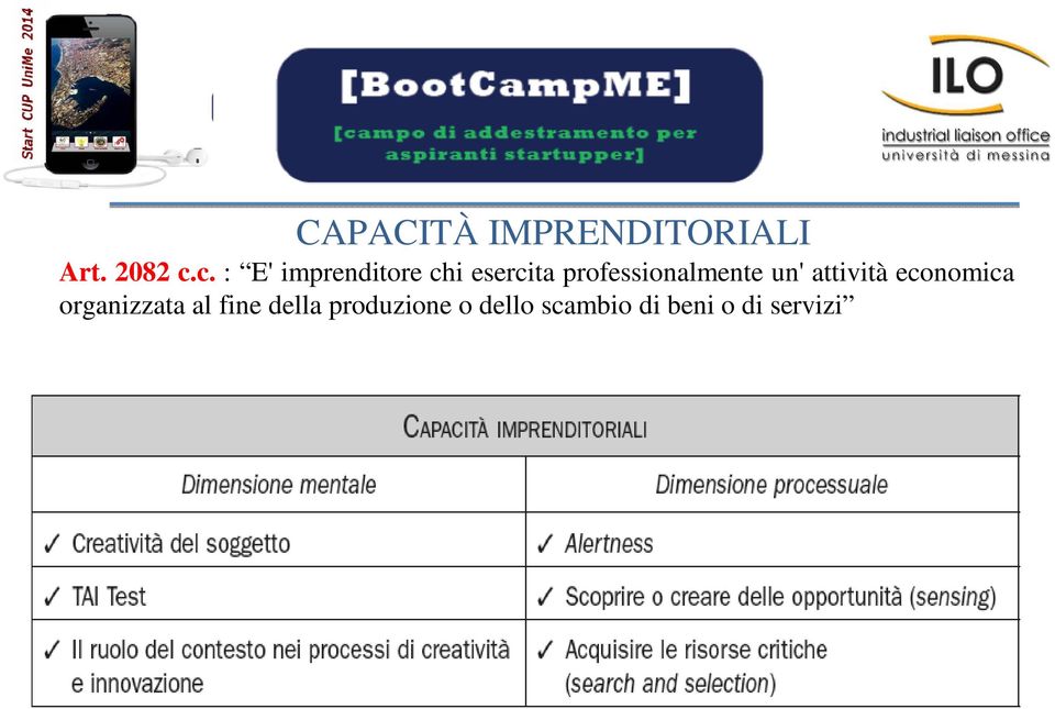 professionalmente un' attività economica