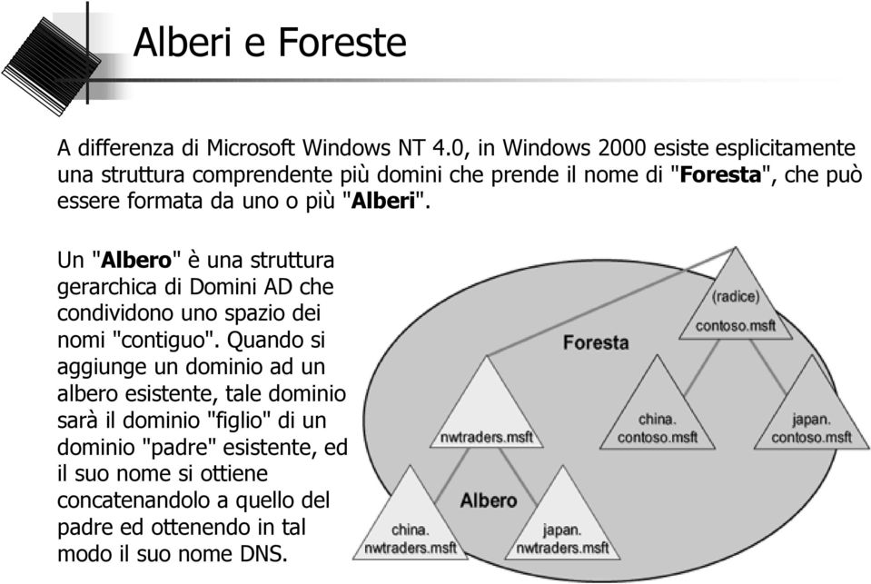 da uno o più "Alberi". Un "Albero" è una struttura gerarchica di Domini AD che condividono uno spazio dei nomi "contiguo".