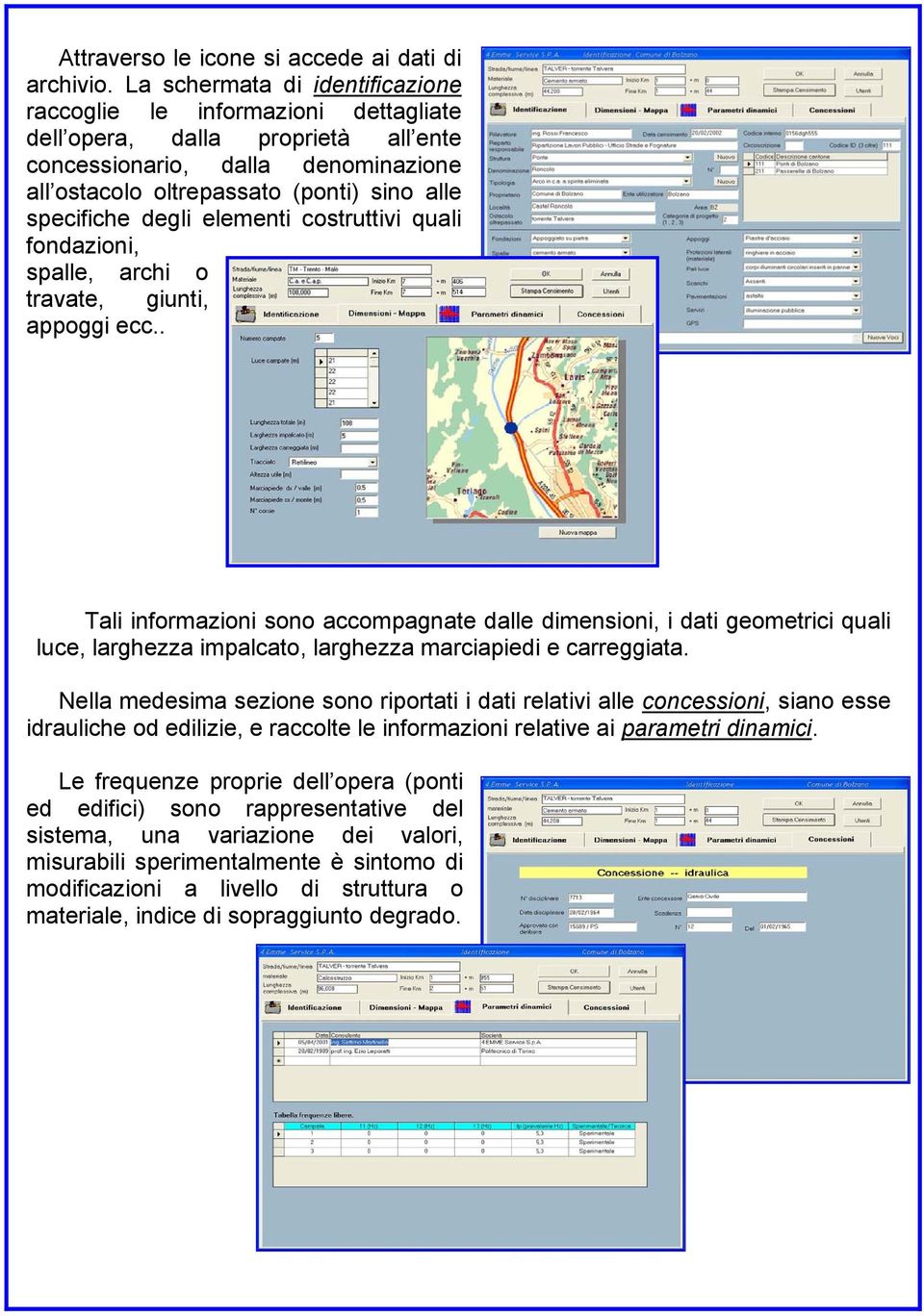 degli elementi costruttivi quali fondazioni, spalle, archi o travate, giunti, appoggi ecc.