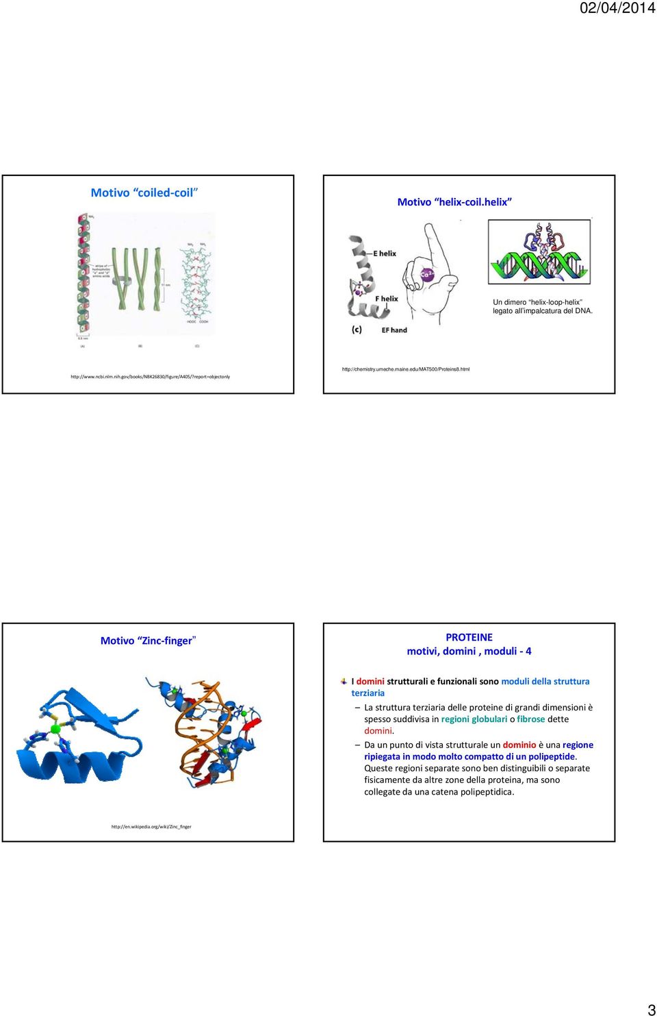 html Motivo Zinc finger PROTEINE motivi, domini, moduli 4 I domini strutturali e funzionali sono moduli della struttura terziaria La struttura terziaria delle proteine di grandi dimensioni è