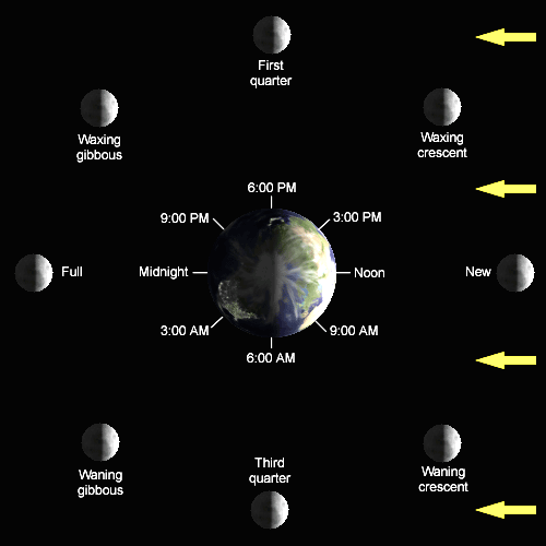 Le fasi lunari PRIMO QUARTO GIBBOSA CRESCENTE