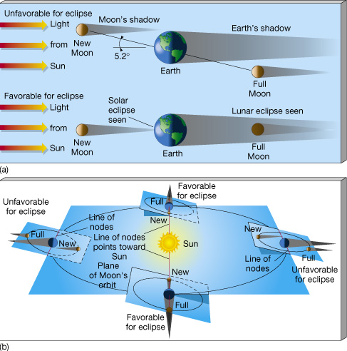 Le eclissi Per una incredibile coincidenza, la dimensione apparente della Luna è quasi identica alla dimensione apparente