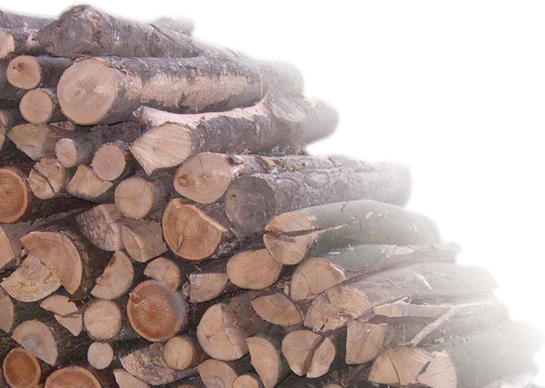 thermi nator II Caldaia combinata selezione ind Rendimento con legna fino a: 92,8% 10 Certificato Vano di