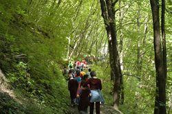 2 IL LUPO C È MA NON SI VEDE Itinerario alla scoperta delle abitudini del grande predatore appenninico, il lupo, lungo un sentiero a lui dedicato ai piedi della grande foresta.