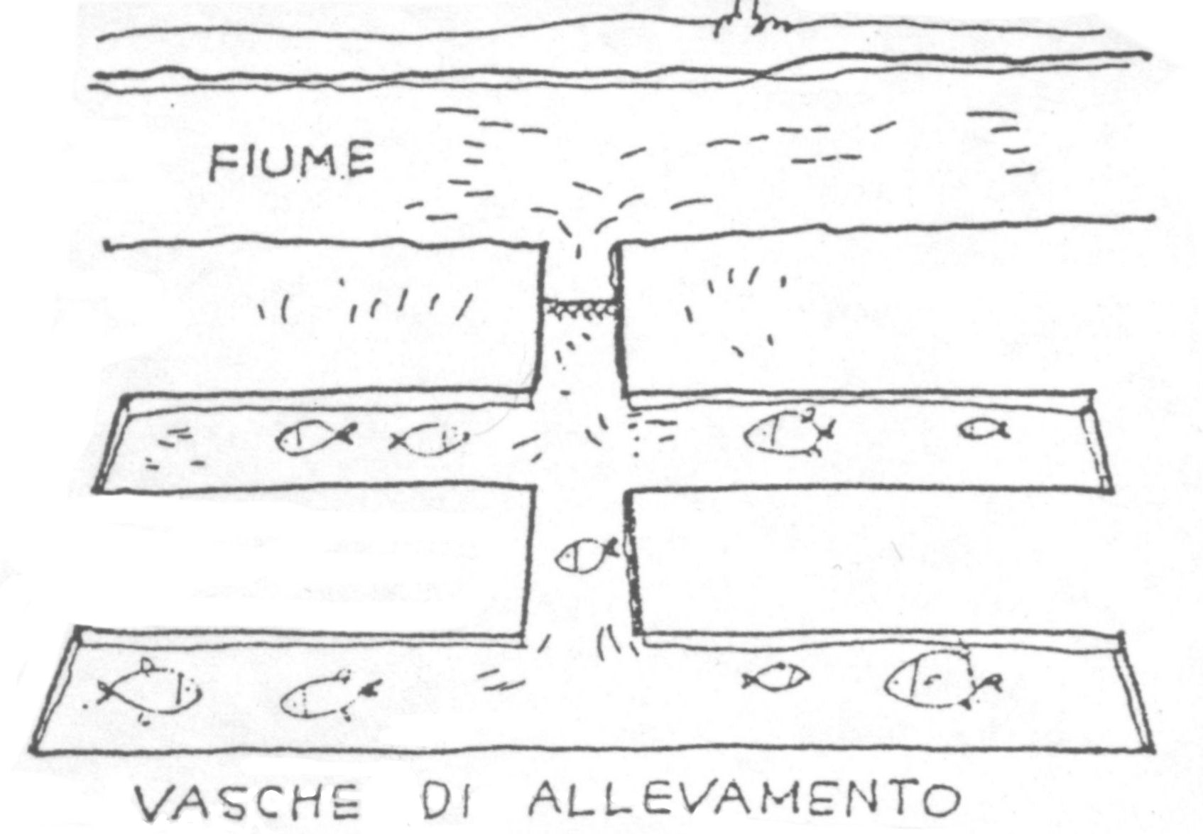 L acqua del fiume serve anche per irrigare i campi.