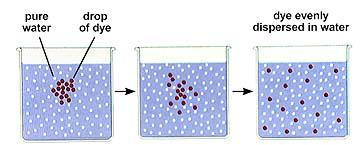 La diffusione semplice L acqua, l anidride carbonica e l ossigeno sono le molecole che diffondono attraverso la membrana plasmatica per diffusione semplice.