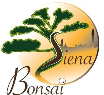 STATUTO SIENA BONSAI Art. 1 - Costituzione È costituita l'associazione non riconosciuta di tipo amatoriale denominata Club Siena Bonsai, di seguito detta Associazione.