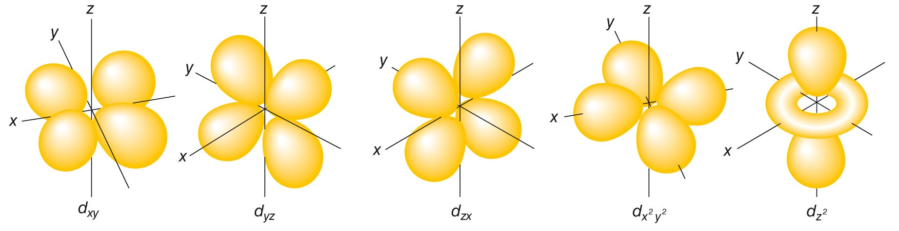 La forma (superficie di contorno) degli orbitali d è a quattro lobi.