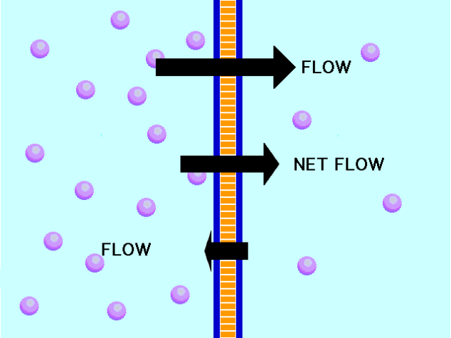 la velocità di diffusione dipende dalla capacità della molecola che diffonde di sciogliersi nello strato lipidico della membrana il tasso di diffusione attraverso una membrana è direttamente